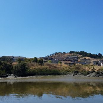 Petaluma Stand Up Paddle - Paddleboarding Near Me - Petaluma, California