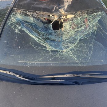 West Coast Auto Transport Services - Damaged vehicle - Transportation Near Me West Coast Auto Transport Services - Damaged vehicle - Transportation Near Me