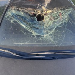 West Coast Auto Transport Services - Damaged vehicle