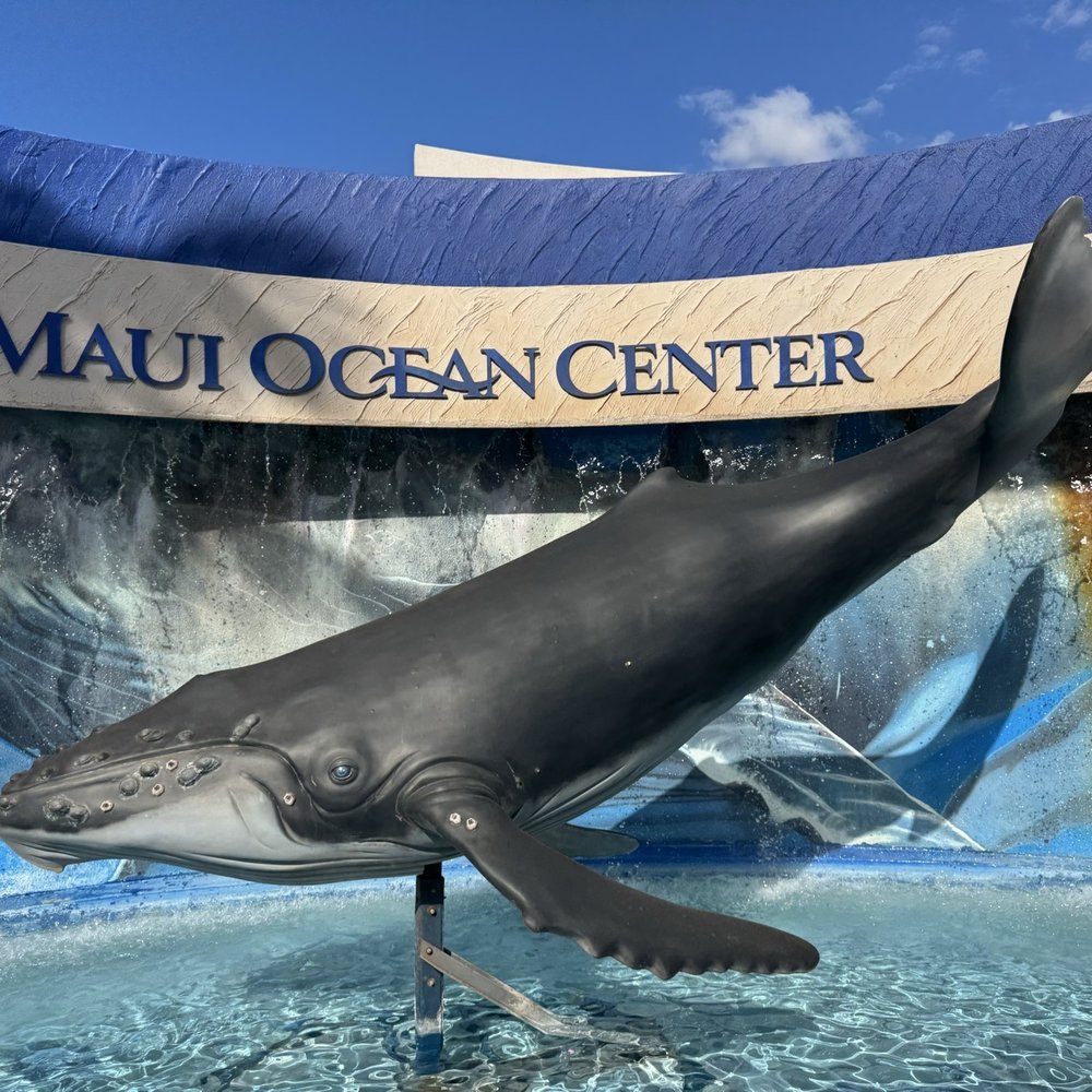 Maui Ocean Center - Aquariums Near Me - Wailuku, Hawaii Maui Ocean Center - Aquariums Near Me - Wailuku, Hawaii