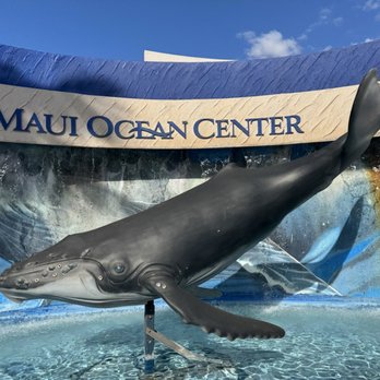 Maui Ocean Center - Aquariums Near Me - Wailuku, Hawaii Maui Ocean Center - Aquariums Near Me - Wailuku, Hawaii