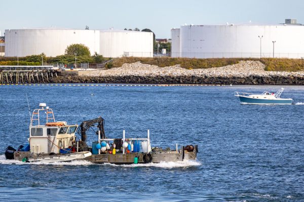 Casco Bay Lines by null