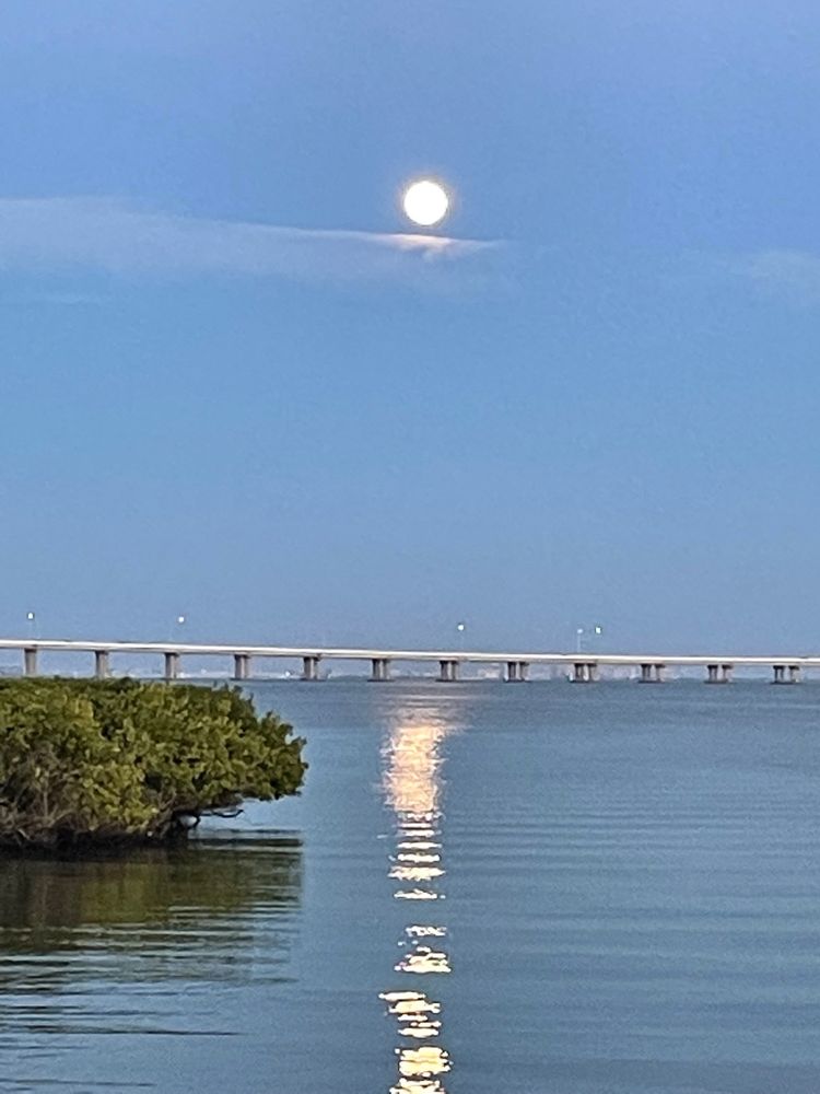 GRAND BELLAGIO Updated August 2024 2709 Via Cipriani, Clearwater