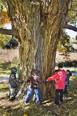 Santa Fe Botanical Garden by null