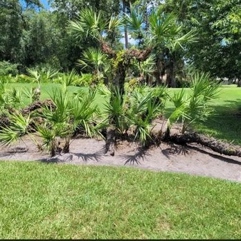 Revivifi - Landscaping Near Me - Jacksonville, Florida Revivifi - Landscaping Near Me - Jacksonville, Florida