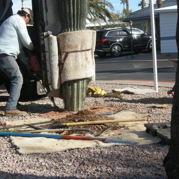 The Cactus Doctor - Gardeners Near Me - Phoenix, Arizona