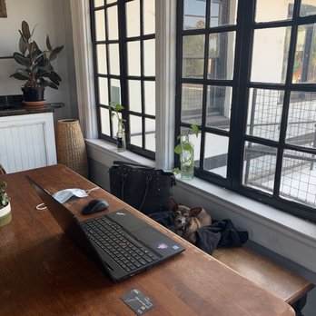 Luana's Coffee & Beer - perfect work area with the pup - Coffee & Tea Near Me - Phoenix, Arizona