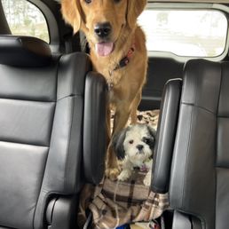 Inside Inside