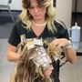 Photo of The Salon Professional Academy