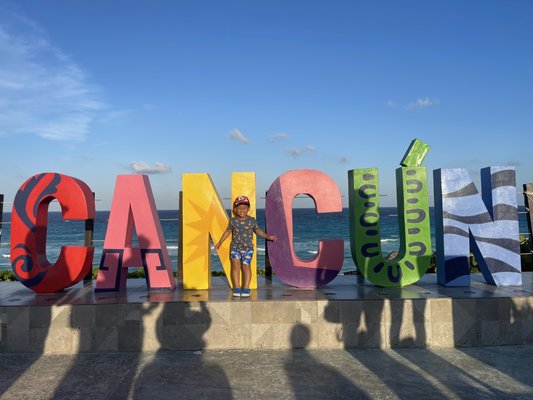 Dolphins Beach by null