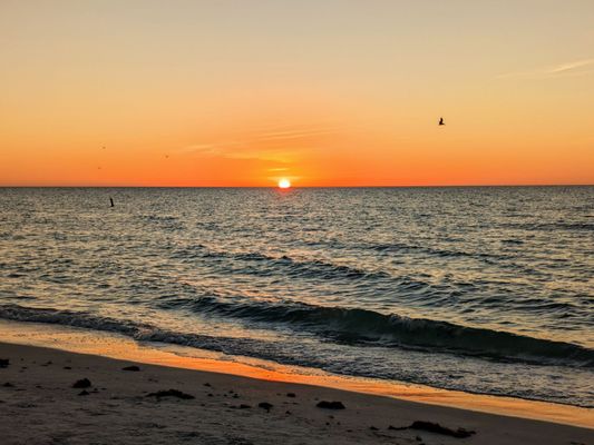 Sand Key Park by null