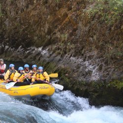 Into the river!