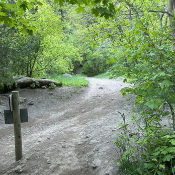 Burch Hollow Trail - Hiking Near Me - Salt Lake City, Utah Burch Hollow Trail - Hiking Near Me - Salt Lake City, Utah