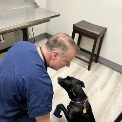 Midway Road Animal Clinic - Dr Roberts is the best my baby had to have her toe amputated and he was the absolute best!
