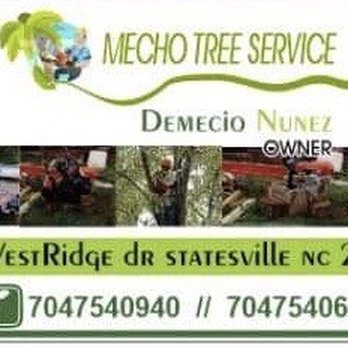 Mecho Tree Service - Tree Services Near Me Mecho Tree Service - Tree Services Near Me