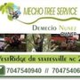 Photo of Mecho Tree Service