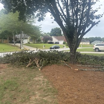 Out On A Limb Tree Service - Tree Services Near Me - Loganville, Georgia Out On A Limb Tree Service - Tree Services Near Me - Loganville, Georgia