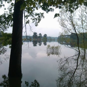 Okatibbee Lake - Morning drizzle - Fishing Near Me - Collinsville, Mississippi Okatibbee Lake - Morning drizzle - Fishing Near Me - Collinsville, Mississippi