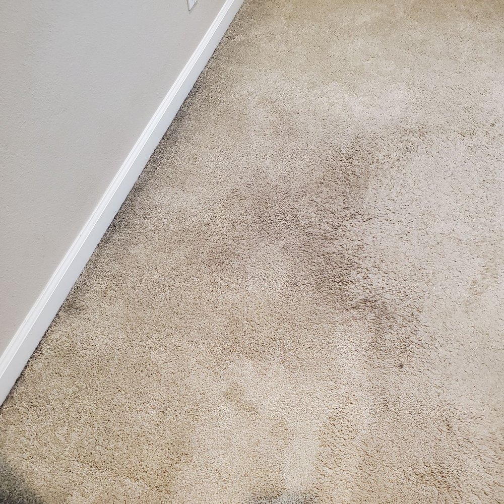 Bruce's Carpet Cleaning - Not cleaned!! - Carpet Cleaning Near Me - Walnut Creek, California Bruce's Carpet Cleaning - Not cleaned!! - Carpet Cleaning Near Me - Walnut Creek, California