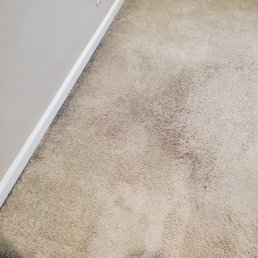 Not cleaned!! Not cleaned!!
