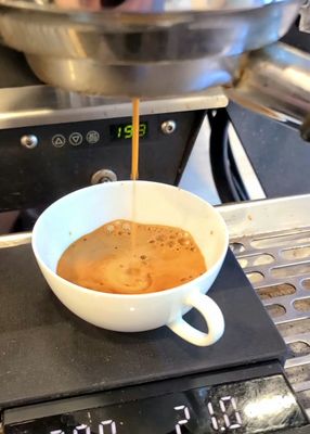 caffe d'bolla by null