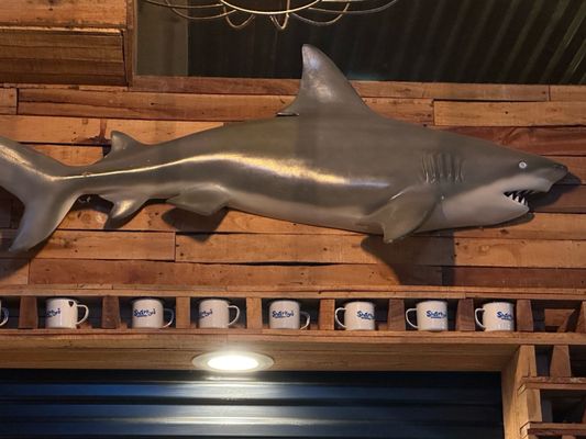 Sharky's Waterfront Grill by null