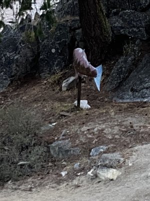 Sleeping Lady Mountain Resort by null