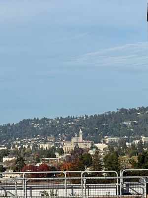 The Campanile by null