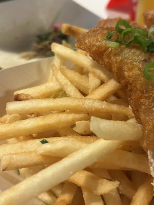 Shoots Fish & Beer by null
