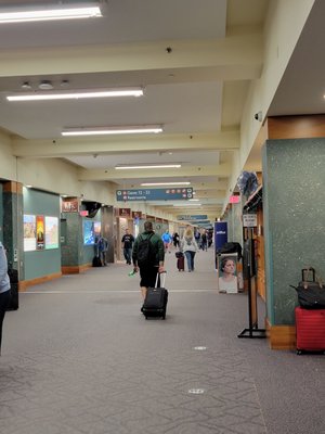 Rhode Island T.F. Green International Airport by null