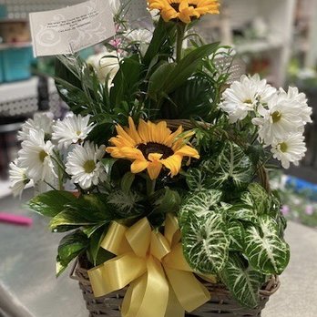 Bowden's Flowers - Flower and plant arrangement for a Celebration of Life gathering. - Florists Near Me - Lenoir City, Tennessee Bowden's Flowers - Flower and plant arrangement for a Celebration of Life gathering. - Florists Near Me - Lenoir City, Tennessee