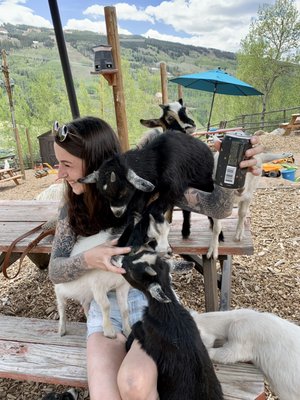 Vail Stables by null