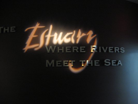 North Carolina Estuarium by null