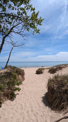Kohler-Andrae State Park by null