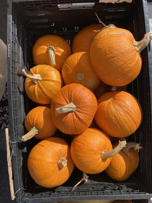 City Park Farmers Market by null