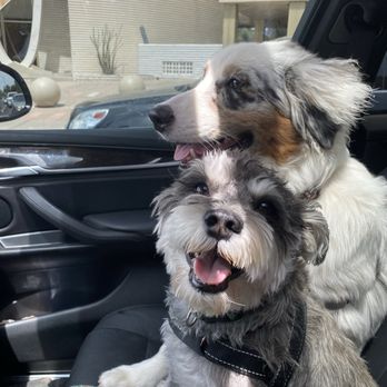 Millie's Dog World - Pet Groomers Near Me - Phoenix, Arizona