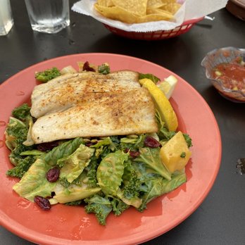 Mucho Gusto - Eugene - Salad, Margarita and fachitas - Mexican Near Me - Eugene, Oregon