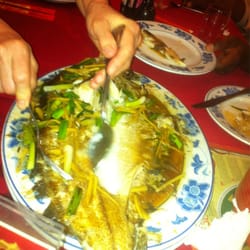 Green Tea Garden Chinese Restaurant - Fish was huge!