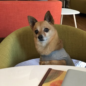 Fetch! Pet Care - Dog Walkers Near Me Fetch! Pet Care - Dog Walkers Near Me