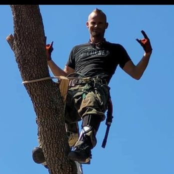 Jonny Boy Tree Service - Tree Services Near Me Jonny Boy Tree Service - Tree Services Near Me