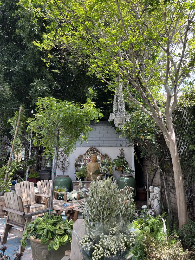 Mi Alma Gardens