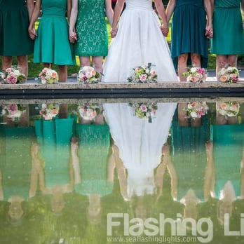 Seattle Flashing Lights Photography - Session Photography Near Me