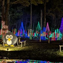 Jellystone Park