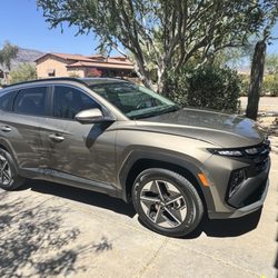 Pure Luxury Tint & Detailing Services