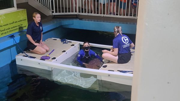 Clearwater Marine Aquarium by null