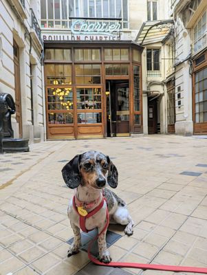 Bouillon Chartier Grands Boulevards by null