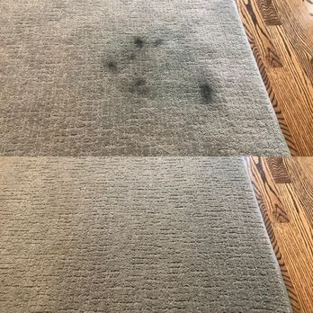 Safe and Clean - ball point pen + playful doggo + rug = potential disaster!  Enter Safe and Clean. Disaster averted - Carpet Cleaning Near Me