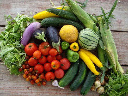 Autonomy Farms by null