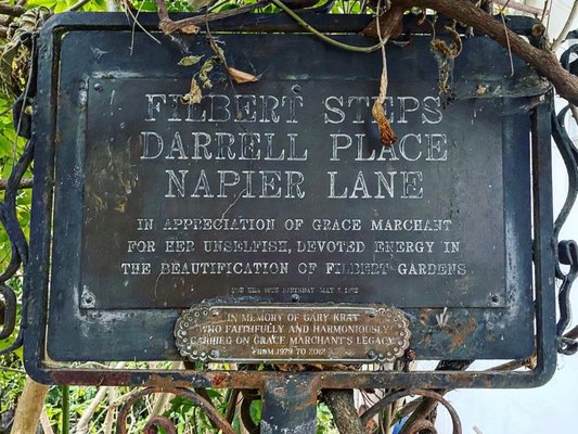 Filbert Steps by null