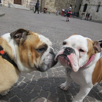 Piazza Dante Alighieri - making new friends - Landmarks & Historical Buildings Near Me - Grosseto, GR